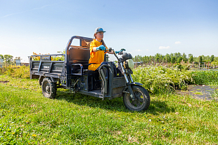 Трициклы Rutrike в работе! Питомник В. Овчинникова Трициклы Rutrike в работе! Питомник В. Овчинникова